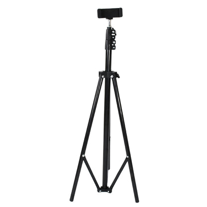 Professional Tripod for DSLR Photography (Max Height 178cm, Multi-Head, Folding)