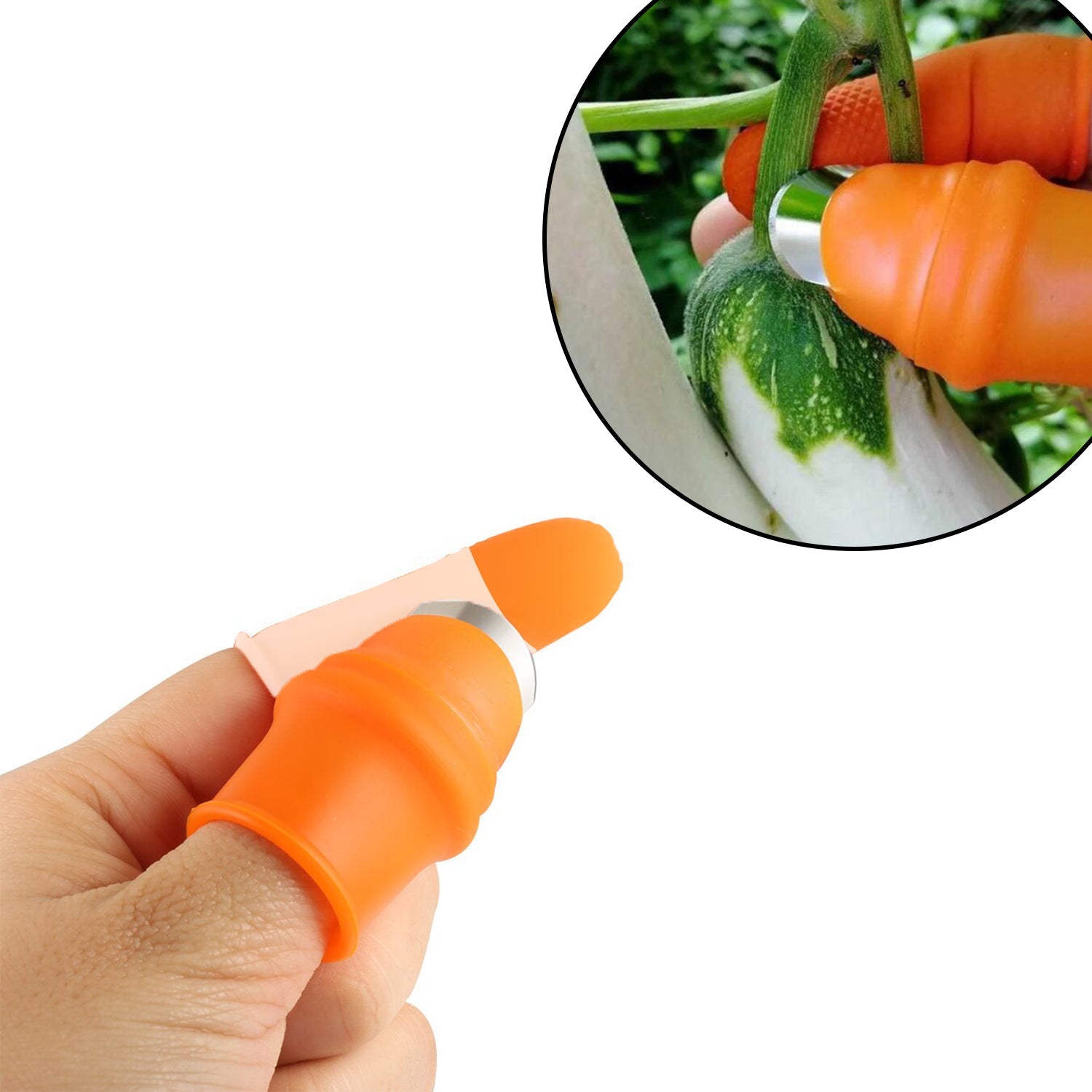 Thumb Cutter for Vegetable