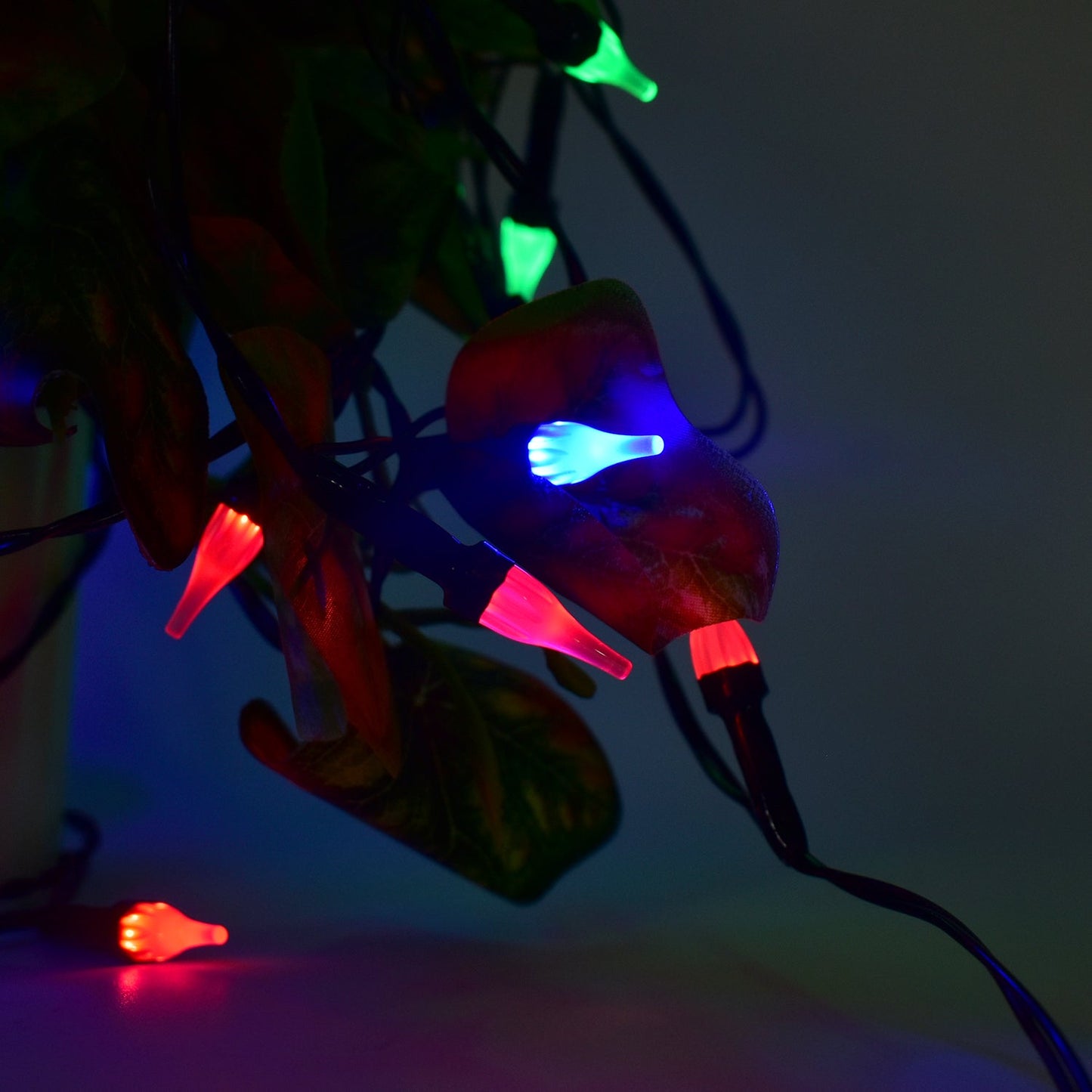 Hanging Multi-Color LED String Light
