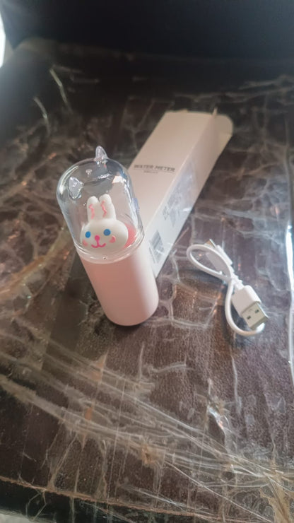 Portable Mini Facial Steamer – USB Rechargeable Nano Mist Sprayer Cute Cartoon Design