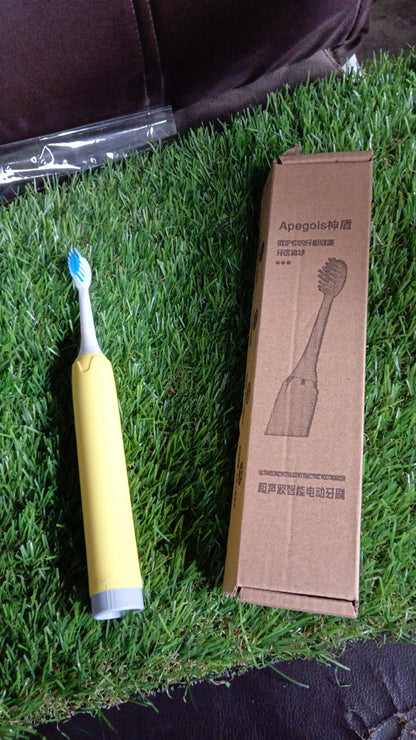 Adult Waterproof Electric Toothbrush (1 Pc / Battery Not Included / Mix Color)